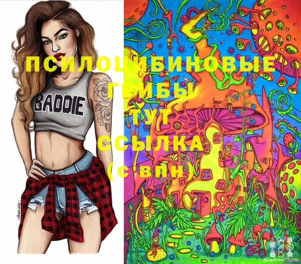 ALPHA PVP Абинск
