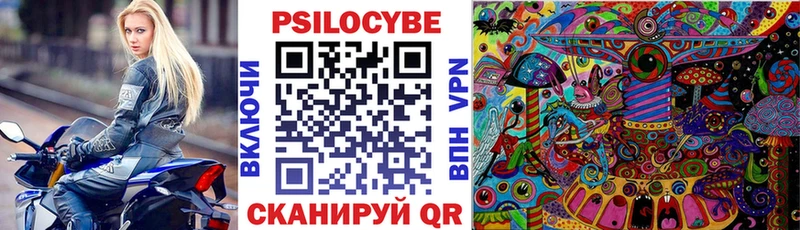 как найти закладки  Суджа  Псилоцибиновые грибы мухоморы 